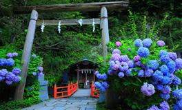 凯利.福克斯射手座2022年6月运势