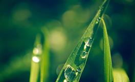 闹闹女巫店双子座2022年6月运势