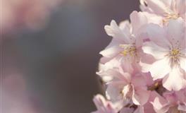 氧气2022年6月星座运势