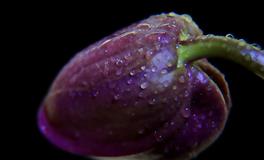 羲邑师姐生肖猴一周运势(6.6-6.12)