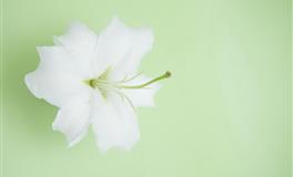 6月，这个星座有点分身乏术