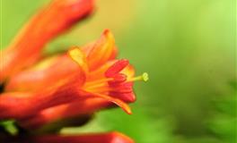 Ezoey徐佩玲2022年6月星座运势