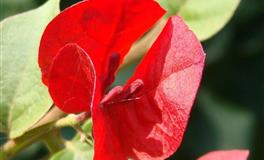 打电话到过去：哪些遗憾是你在潜意识里还紧抓不放？