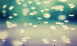 有格调有内涵，能称得上是君子之交的星座