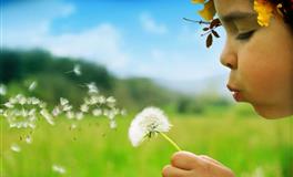 2022年8月12属相财运提前报！