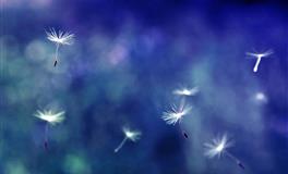 2022下半年财运大爆发的星座