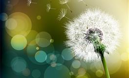 恋爱中的星座最需要什么，不同星座有不同的答案，来看看吧