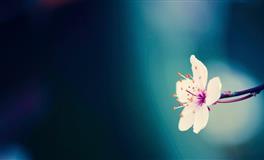 潜力巨大的三大星座，现在无所作为，他日必成大器！