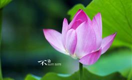 静电鱼巨蟹座一周运势(7.11-7.17)