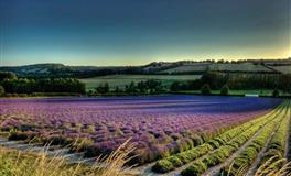 哪些星座的心直口快，让人奉陪不起