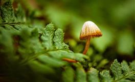 苏珊米勒每日运势2022年7月18日