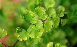 星座女神金牛座2022下半年运势