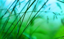 闹闹女巫店天秤座一周运势（7.18-7.24）