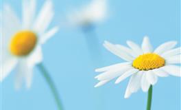 星座女神天秤座2022下半年运势