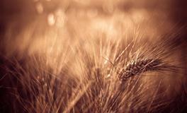 下半年求职跳槽运：这4命格职场变动顺