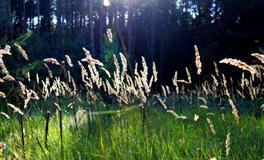 直觉测验：你有多容易爱错人？