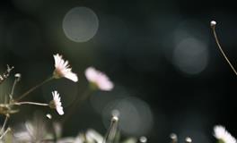 生来富贵命，多金又长寿的星座