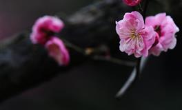 分手后反而会变开心的星座，不纠缠不休，更不死缠烂打