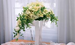 不管怎么生气，也不会大吵大闹的星座