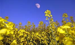 苏珊米勒每日运势2022年7月15日