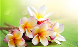 星座女神魔羯座一周运势(7.18-7.24)