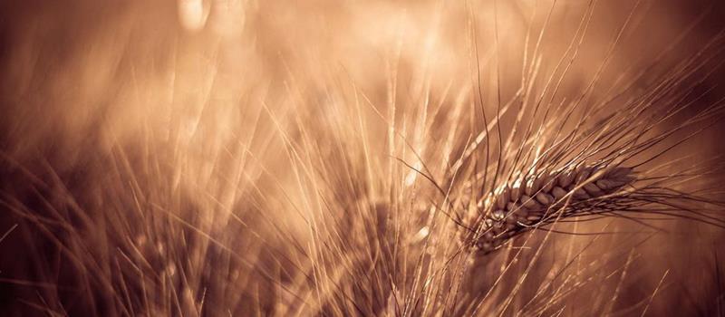 下半年求职跳槽运：这4命格职场变动顺