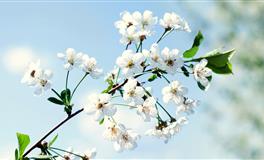 Pandora占星小巫水瓶座2022年7月运势