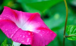 苏珊米勒每日运势2022年7月5日