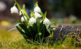 2022下半年去热爱吧！十二星座该爱谁？怎么去爱？