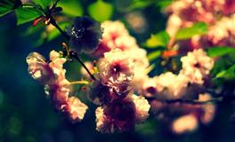 占星骑士一周星座职场运势（7.4-7.10）