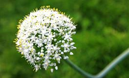 苏珊米勒每日运势2022年7月6日