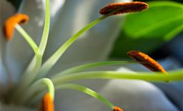 苏珊米勒一周星座运（7.4-7.10）