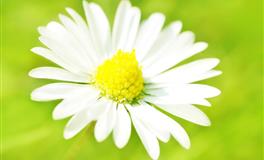 娜迪亚双子座本周运势（7.25-7.31）