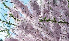 相遇时不喜欢，就不再会动心的三大星座