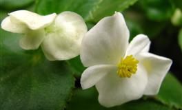 神叨酱天秤座2022年8月运势