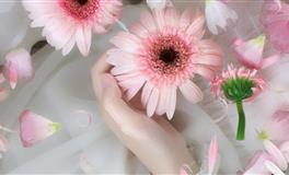 萨丽天秤座2023年运势