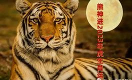 熊神进2023年生肖虎运势详解