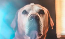 未来45天，你离幸福有多远？