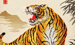 属虎的男生和属猪的女生，缘分指数是多少