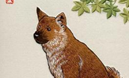 属狗的男生和属虎的女生，缘分指数是多少