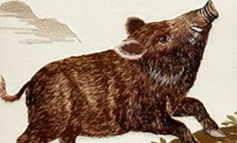 属猪的男生和属猴的女生，缘分指数是多少