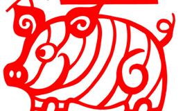 别信他，生肖猪渣男的谎言