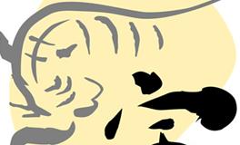 生肖虎男生强势指数，12生肖中排第几