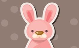 1987年的属兔人2024年全年运势及每月运势详解