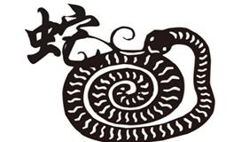 属蛇和什么属相不合