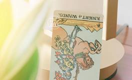 蓝蓝占星双子座一周感情运势（8.19-8.25)