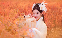 做事结善缘，做人有福气的星座