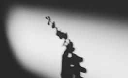 B型血会因为什么陷入情感危机？