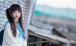 董易林生肖猪2024甲辰年十二月运程