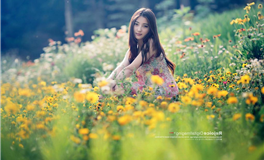 爱莎塔罗2023年11月运势，热爱生活把握美好瞬间！